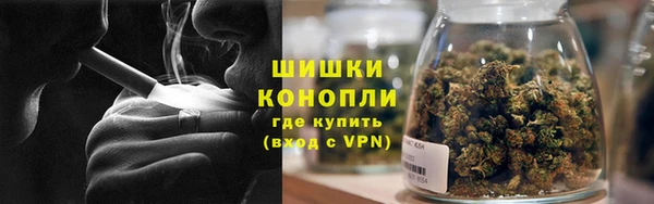 ГАЛЛЮЦИНОГЕННЫЕ ГРИБЫ Арсеньев