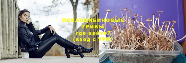ГАЛЛЮЦИНОГЕННЫЕ ГРИБЫ Арсеньев